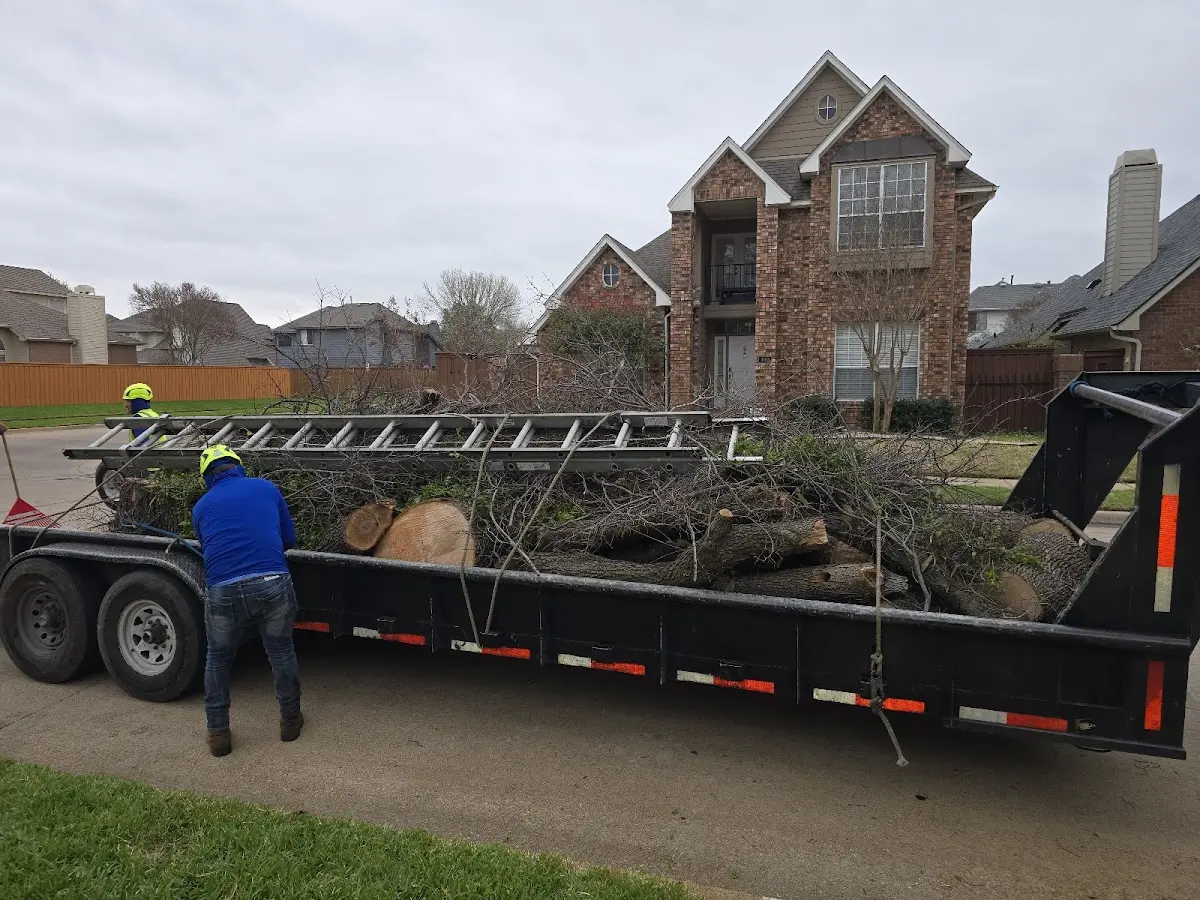 Expert Crown Reduction with proper safety equipment in Elkhorn